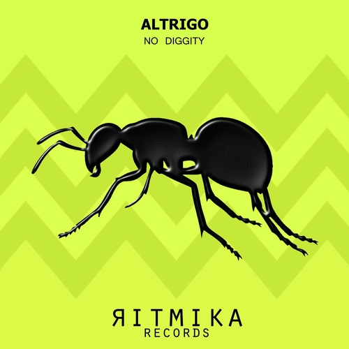 ALTRIGO - No Diggity [RTK091]